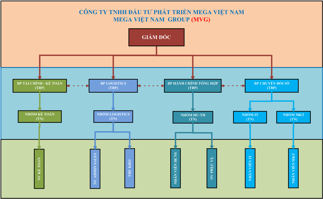 Sơ đồ tổ chức Mega Vietnam