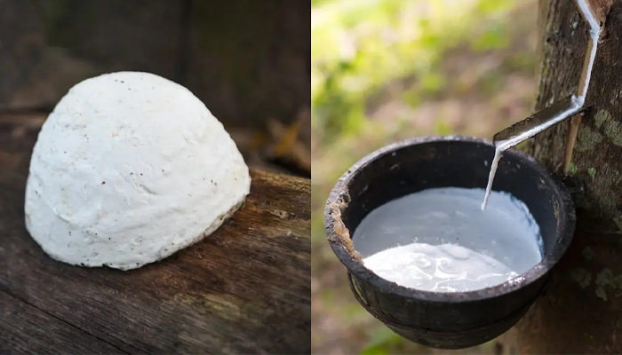 VIỆT NAM LÀ THỊ TRƯỜNG LỚN NHẤT CUNG CẤP CAO SU TỰ NHIÊN CHO ẤN ĐỘ