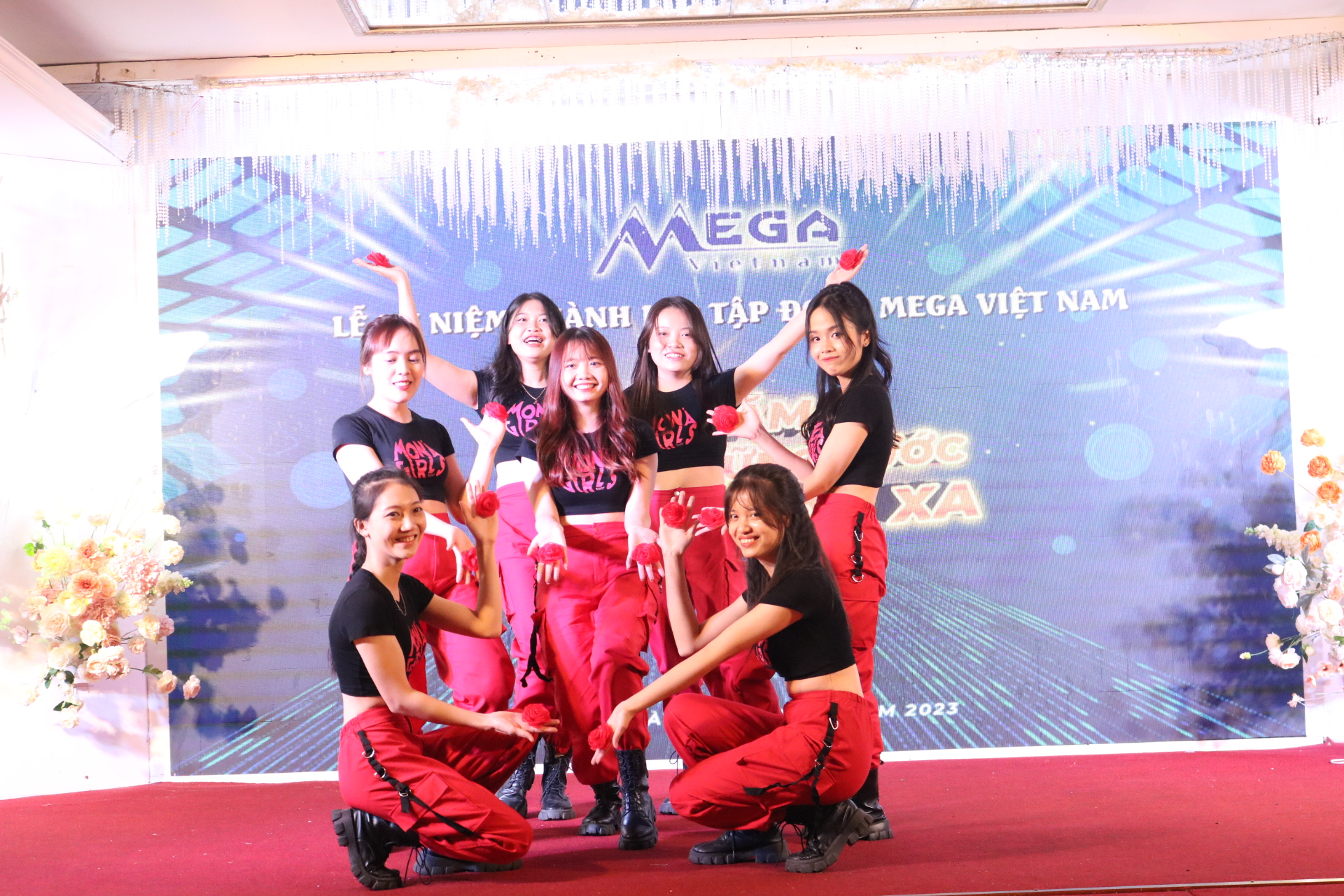 Mega Việt Nam