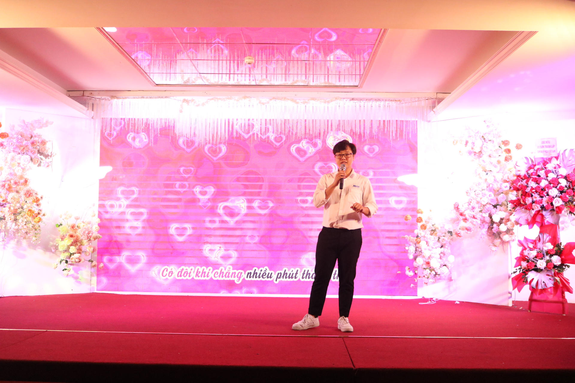 Mega Việt Nam