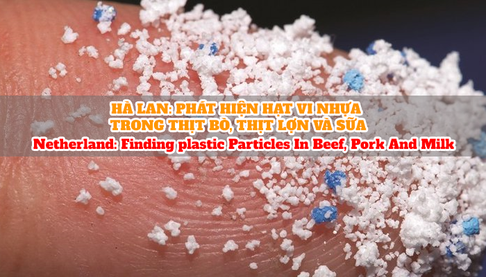 HÀ LAN: PHÁT HIỆN HẠT VI NHỰA TRONG THỊT BÒ, THỊT LỢN VÀ SỮA