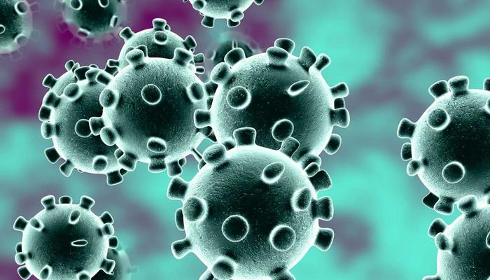 VIRUS ĐI NHỜ TRÊN NHỰA TỒN TẠI TRONG NƯỚC NGỌT