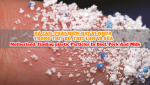 NETHERLAND: FINDING PLASTIC PARTICLES IN BEEF, PORK, AND MILK